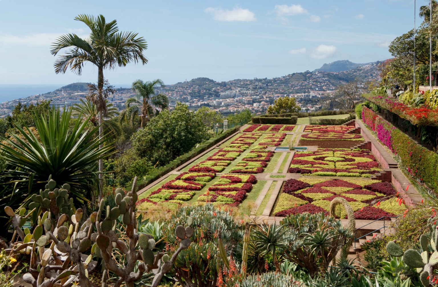 jardim1